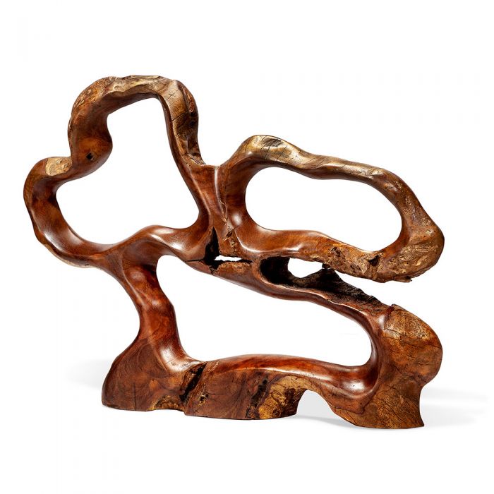 Burstyn teak root sculpture